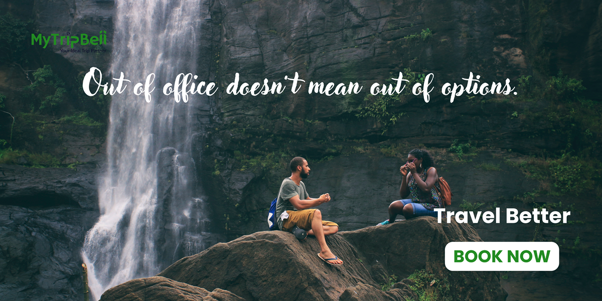 Website Out of office doesn’t mean out of options. (1)